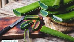 آلوئه ورا، موارد مصرف و کاربردهای درمانی و دارویی