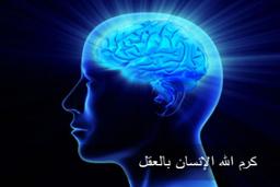 سیر الی العقل(قسمت دوم)