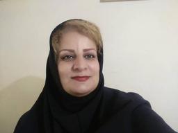 طرح هادی، بهشتی برای از ما بهتران شهرنشین و جهنم روستاییان؟!