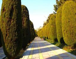 آشغانه!!! دوستت دارم.