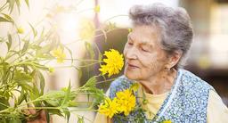 چرا بوی بدن سالمندان تغییر می‌کند؟