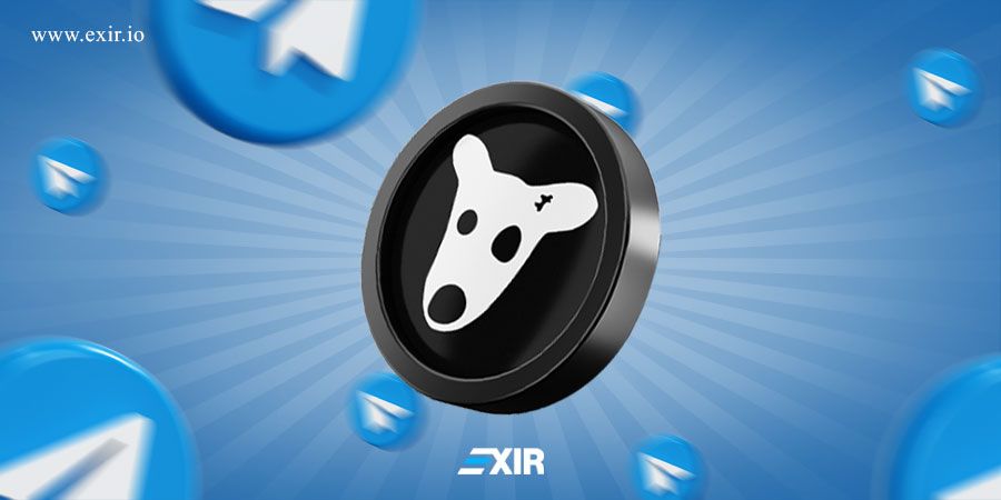 ارز دیجیتال dogs