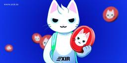 معرفی ارز دیجیتال میو + نحوه خرید