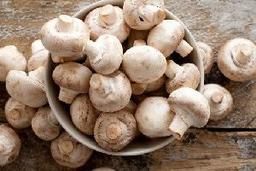 خواص قارچ برای 50 ساله ها