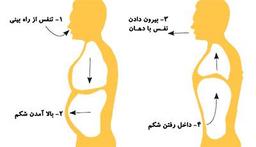 آموزش تنفس دیافراگمی صحیح در خوانندگی