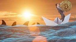 آیا برای سوار شدن بر کشتی سرمایه گذاری بیت کوین دیر شده است؟