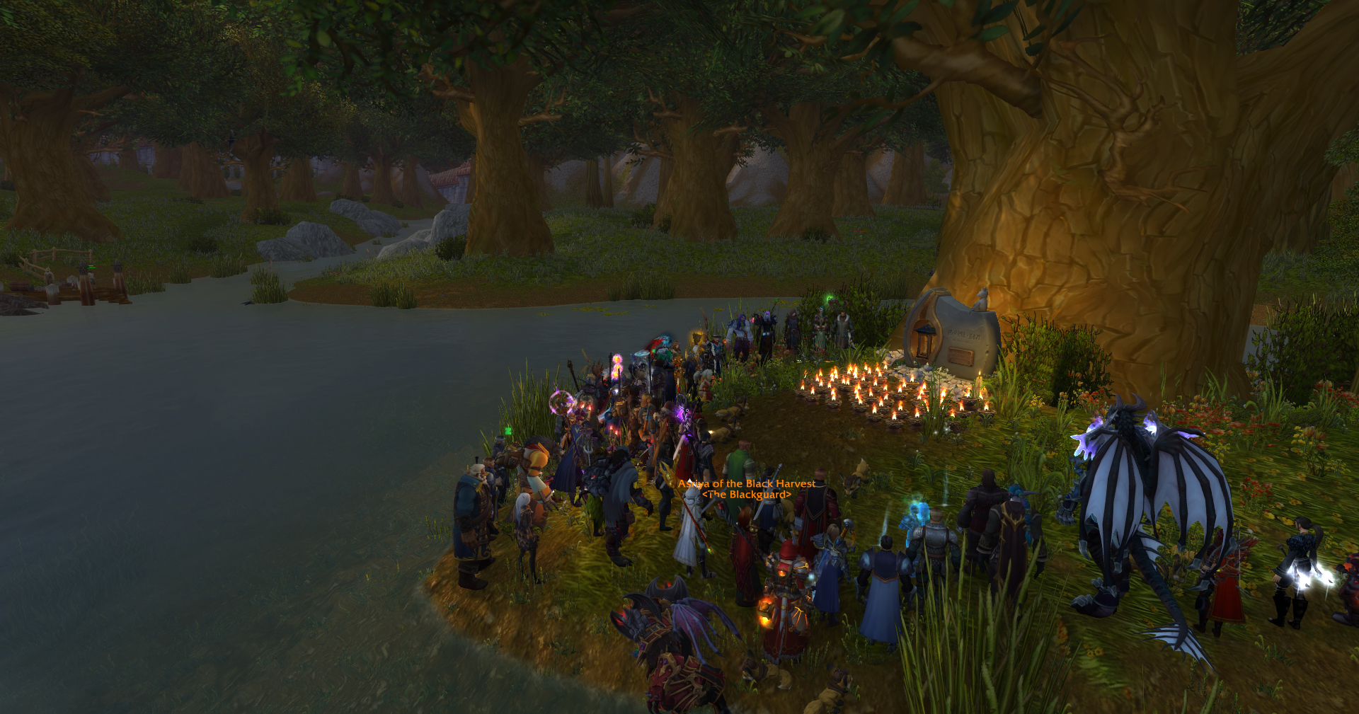 اسکرین شاتی از بازیکنان World of Warcraft در حال ادای احترام به Ibelin در مراسم یادبود او درون بازی