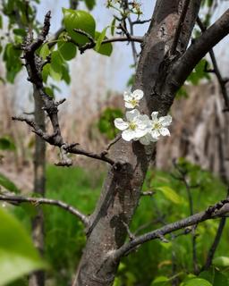 در باب انتظارِ زندگی بدون کرونا