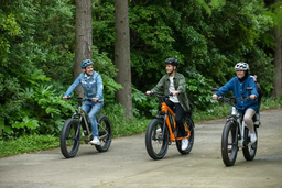 راهنمای انتخاب بهترین دوچرخه برقی بانوان