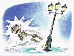 مخاطرات برق برای شهروندان و راه های پیشگیری