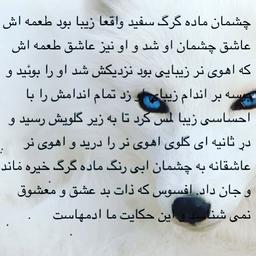 خارج از جنسیت