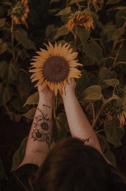 صبح فردا قلبش …