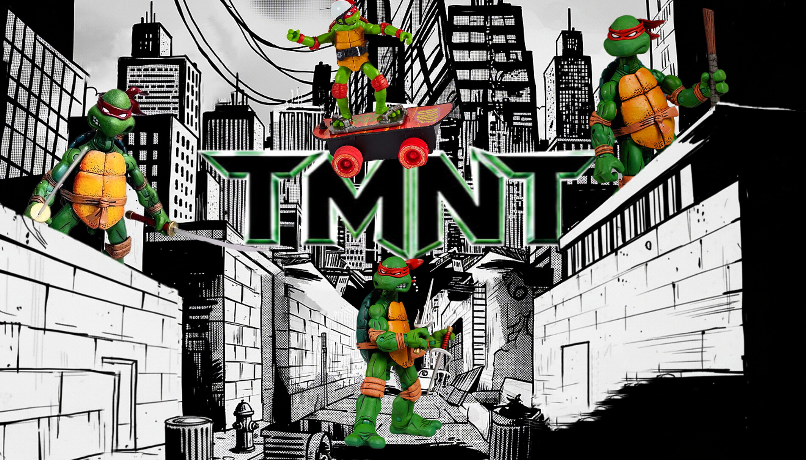 Ninja Turtles in Shadows Trail