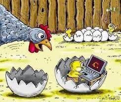 جوجه برنامه نویس به روایت تصویر