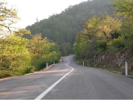 دربارگاه راش ها