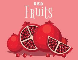 معرفی انواع نهال های تجاری انار در سال ۱۴۰۲