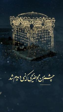 چشم من محو ضریحی که نمی‌دیدم شد