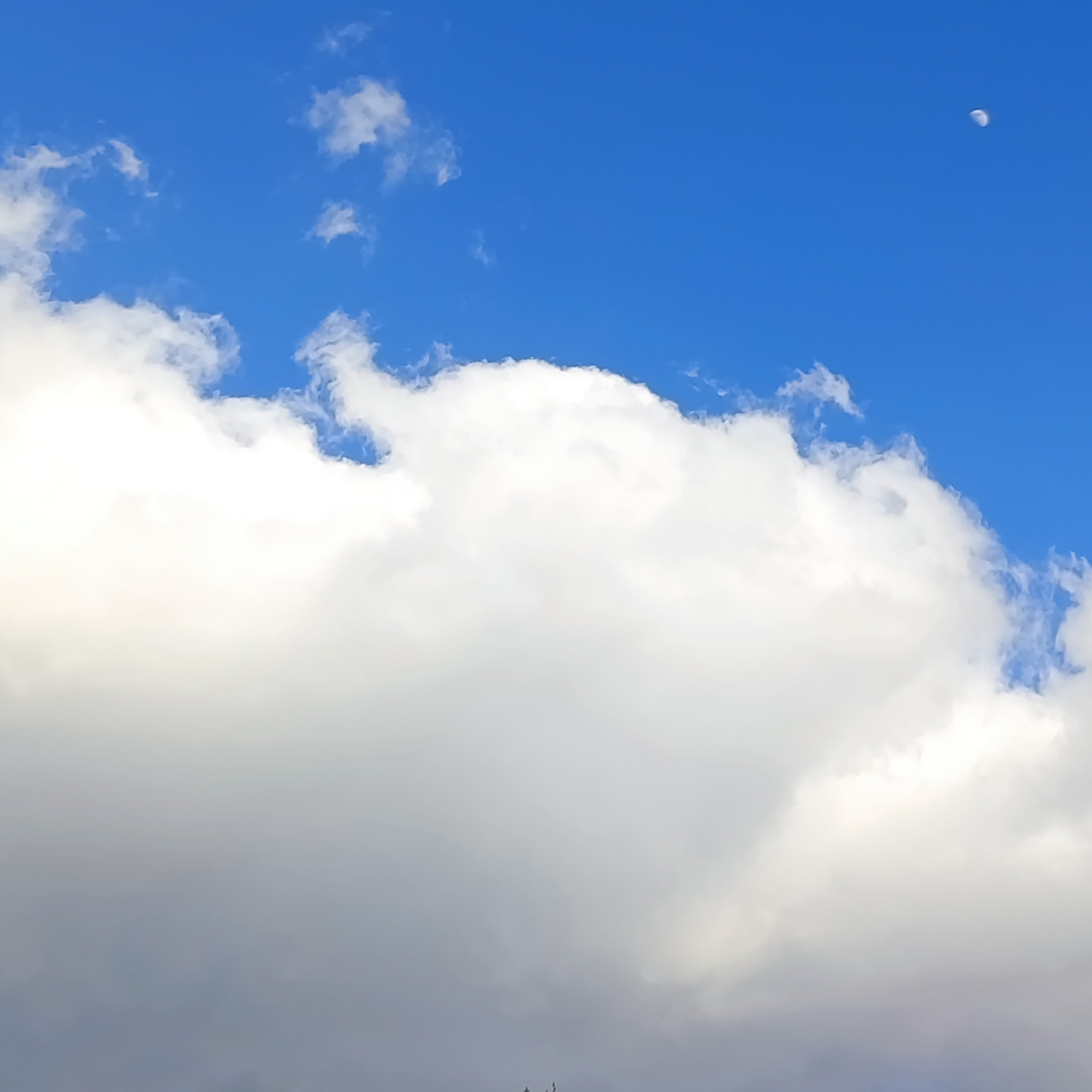 چند روز پیش، ماه را دیدم که از هجوم ابرها می‌گریخت.