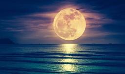 "حد فاصل فهمیدن و نفهـــمیدن"