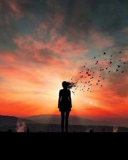 از ویران شدن نترسیم!