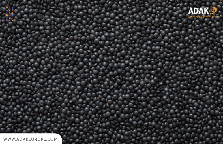 مستربچ مشکی