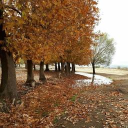 خالی از تشویش و اضطراب