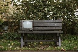 زن سیاه پوش، خرگوش و پروست