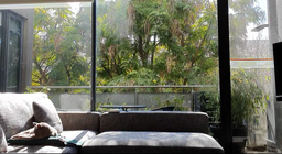 تو کدام پنجره ای؟