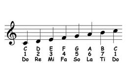 صفر تا صد آموزش سلفژ و اصول آن