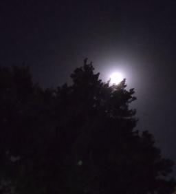 خانه‌ی غم کجاست؟