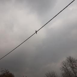 نامِ تو، "فاصله" است