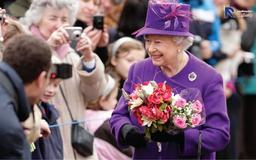 روانشناسی رنگ بنفش ( شناخت شخصیت افرادی که رنگ بنفش دوست دارند )