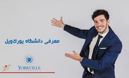 دانشگاه یورک ویل کانادا و ۱۱ دلیل اخذ پذیرش تحصیلی از طریق رادسام