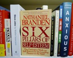 خلاصه کتاب شش ستون عزت نفس