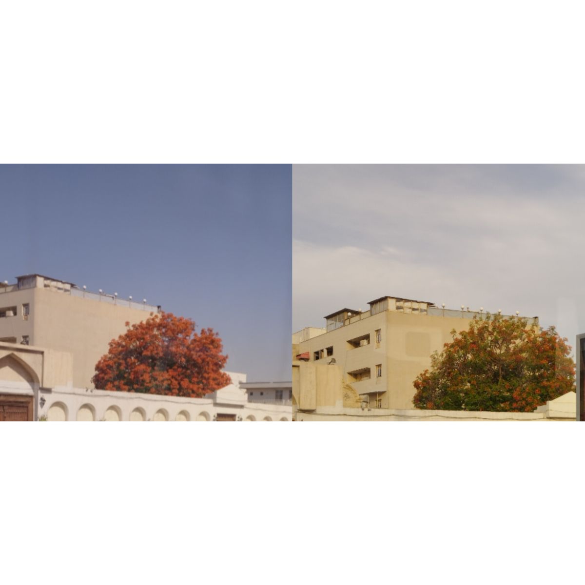 ♥️ زیبایی ♥️