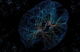 هنگام مقایسه شبکه های عصبی با مغز احتیاط کنید...