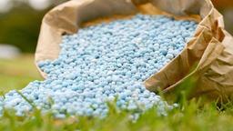 بهترین کود چیست؟