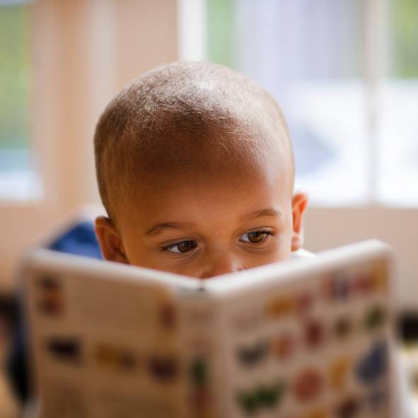 خلاقیت خوراک میخواهد