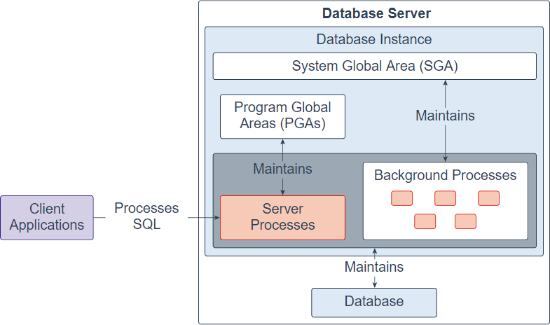 Database Instance Structure