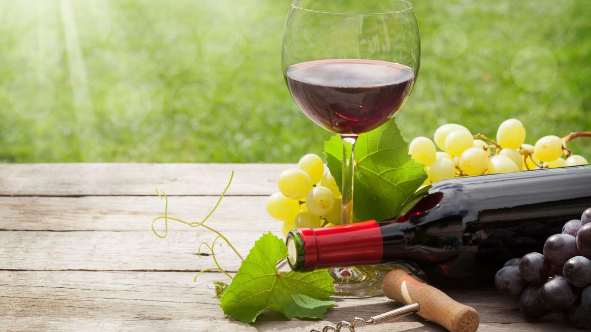 Can Vegans Drink Wine? Exploring the Ethical Considerations ویرگول