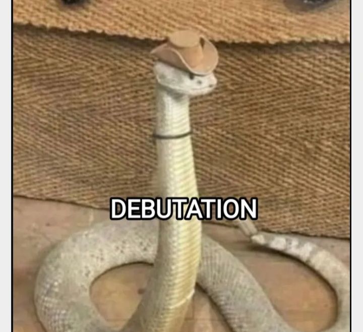 من در حال انتظار برای انتشار ری رکورد های بعدی Taylor swift 