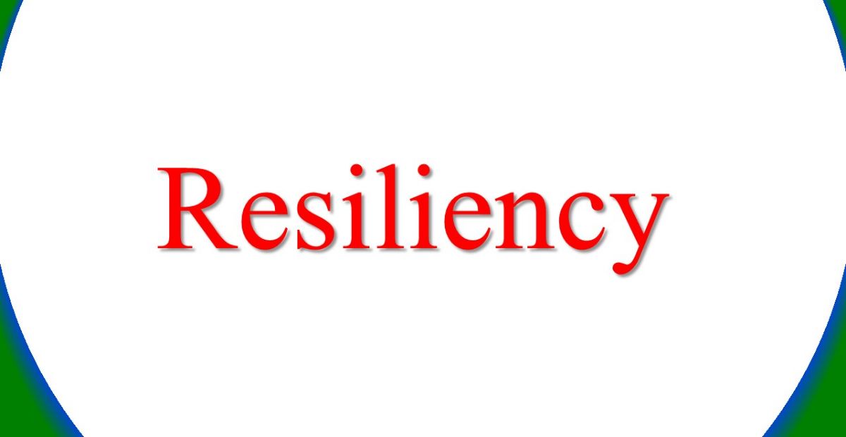 سال تاب‌آوری