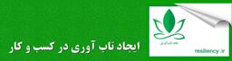 ایجاد تاب آوری در کسب وکار چگونه توصیف میشود ؟