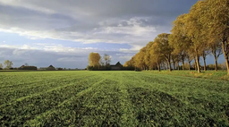 مزایای بی نظیر خرید زمین در بیشه کلا از آن بی خبرید!