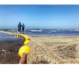 این زیبایی های فریبنده سرخرود را از دست ندهید