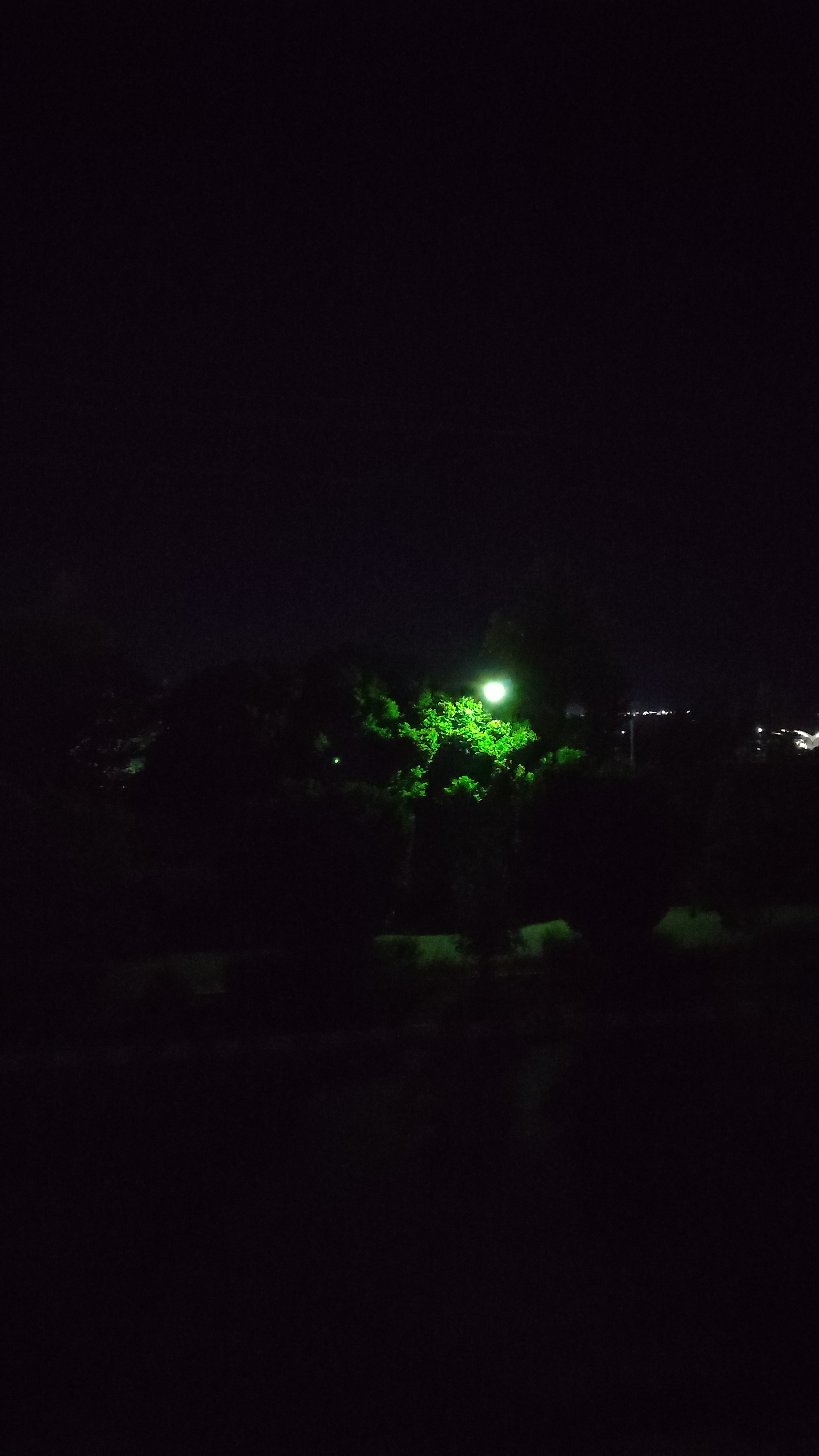 خیلی وقت پیش،خوابگاه