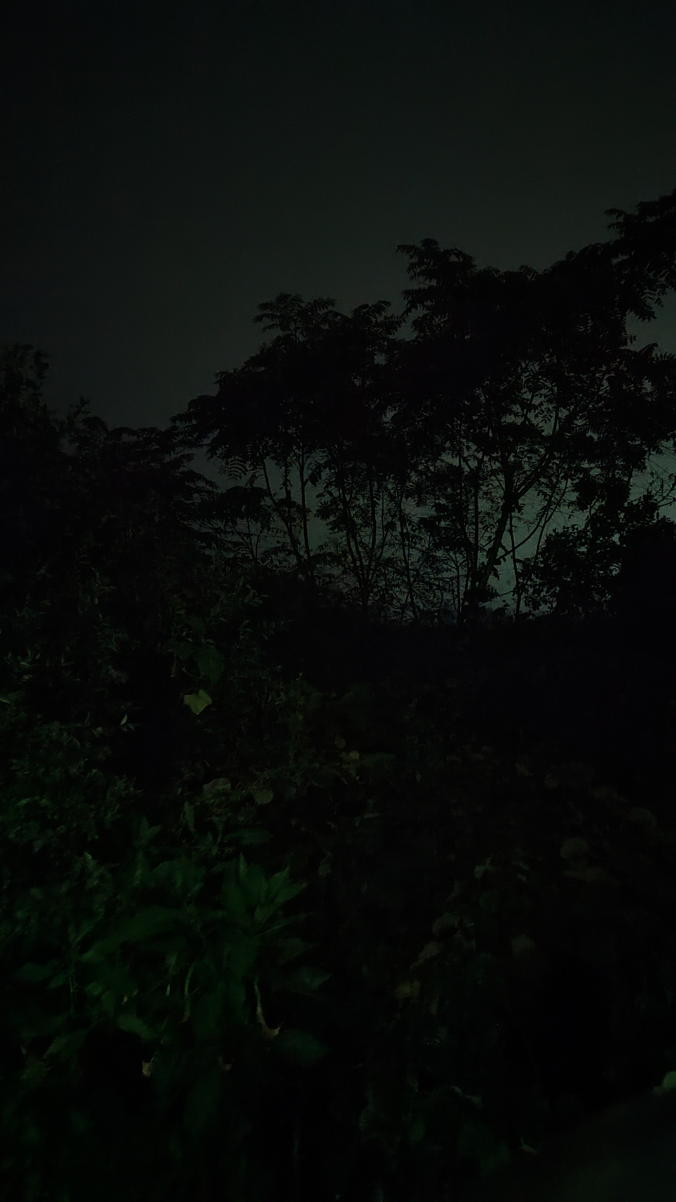 عکس هایی از دو سفر(به غیر اولی بقیه مال سفر دومن)