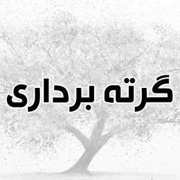 لیست گرته برداری های رایج