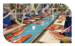 فروش تسمه نقاله