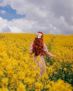 یک تعریف بی معنا  《 ۲ 》